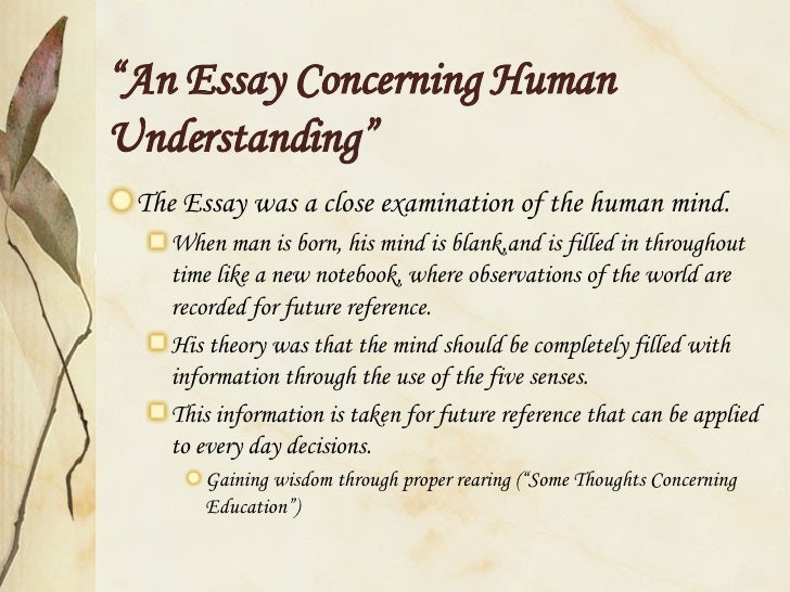 New essays on human understanding