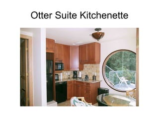 Otter Suite Kitchenette