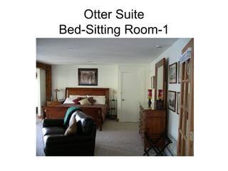 Otter Suite Bed-Sitting Room-1