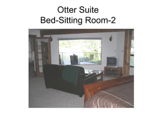 Otter Suite Bed-Sitting Room-2