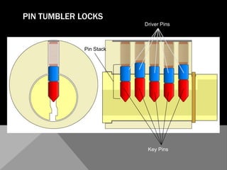 EuroslimRake Pick Bogata Style
