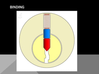 SnakeHalf Diamond Pick ThinkRake Pick – SnakeHalf Diamond Pick ThinRake Pick – Bogotá Stylehttp://toool.us