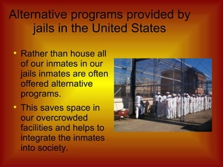 Alternative programs provided by jails in the United States Rather than house all of our inmates in our jails inmates are often offered alternative programs. This saves space in our overcrowded facilities and helps to integrate the inmates into society. 