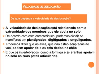 A  velocidade de deslocação está relacionada com a extremidade dos membros que ele apoia no solo. De acordo com esta característica, podemos dividir os mamíferos em  plantígrados ,  digitígrados  e  ungulígrados . Podemos dizer que as aves, que não estão adaptadas ao voo,  podem apoiar dois ou três dedos no chão . E que os invertebrados  como a formiga e as aranhas  apoiam no solo as suas patas articuladas. Velocidade de deslocação De que depende a velocidade de deslocação? 