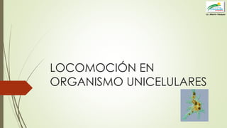 LOCOMOCIÓN EN
ORGANISMO UNICELULARES
Lic. Alberto Vásquez
 