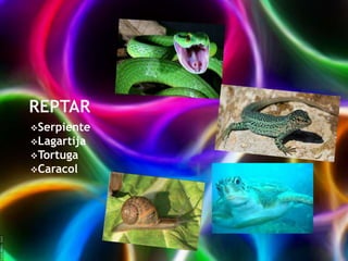 Serpiente
Lagartija
Tortuga
Caracol

 