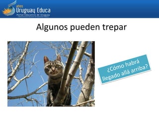 Algunos pueden trepar
