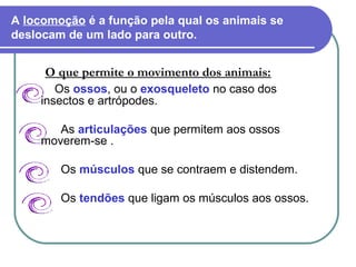 A locomoção é a função pela qual os animais se
deslocam de um lado para outro.
O que permite o movimento dos animais:
Os ossos, ou o exosqueleto no caso dos
insectos e artrópodes.
As articulações que permitem aos ossos
moverem-se .
Os músculos que se contraem e distendem.
Os tendões que ligam os músculos aos ossos.
 