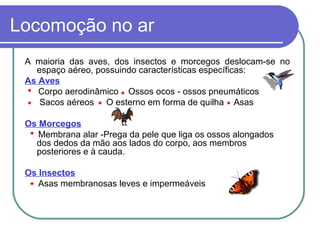 Locomoção no ar
A maioria das aves, dos insectos e morcegos deslocam-se no
espaço aéreo, possuindo características específicas:
As Aves
Corpo aerodinâmico Ossos ocos - ossos pneumáticos
Sacos aéreos O esterno em forma de quilha Asas
Os Morcegos
Membrana alar -Prega da pele que liga os ossos alongados
dos dedos da mão aos lados do corpo, aos membros
posteriores e à cauda.
Os Insectos
Asas membranosas leves e impermeáveis
 