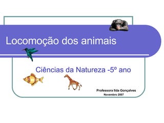 Locomoção dos animais Ciências da Natureza -5º ano Professora Ilda Gonçalves Novembro 2007 