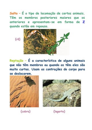 Salto – É o tipo de locomoção de certos animais. Têm os membros posteriores maiores que os anteriores e apresentam-se em forma de Z quando estão em repouso. 
(rã) 
Reptação – É a característica de alguns animais que não têm membros ou quando os têm eles são muito curtos. Usam as contrações do corpo para se deslocarem. 
(cobra) (lagarto) 
 