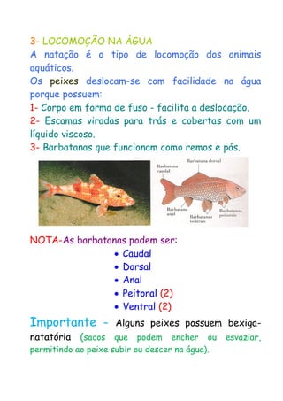 3- LOCOMOÇÃO NA ÁGUA 
A natação é o tipo de locomoção dos animais aquáticos. 
Os peixes deslocam-se com facilidade na água porque possuem: 
1- Corpo em forma de fuso - facilita a deslocação. 
2- Escamas viradas para trás e cobertas com um líquido viscoso. 
3- Barbatanas que funcionam como remos e pás. 
NOTA-As barbatanas podem ser: 
 Caudal 
 Dorsal 
 Anal 
 Peitoral (2) 
 Ventral (2) 
Importante – Alguns peixes possuem bexiga- natatória (sacos que podem encher ou esvaziar, permitindo ao peixe subir ou descer na água).  