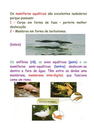 Os mamíferos aquáticos são excelentes nadadores porque possuem: 
1 – Corpo em forma de fuso – permite melhor deslocação. 
2 – Membros em forma de barbatanas. 
(baleia) 
Os anfíbios (rã), as aves aquáticas (pato) e os mamíferos semi-aquáticos (lontra) deslocam-se dentro e fora de água. Têm entre os dedos uma membrana, membrana interdigital, que funciona como um remo. 
 