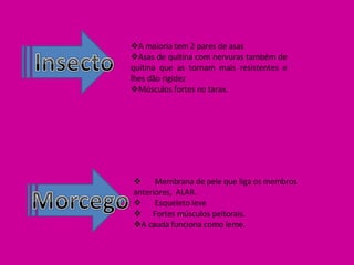 A maioria tem 2 pares de asas Asas de quitina com nervuras também de quitina que as tornam mais resistentes e lhes dão rigidez Músculos fortes no tarax. Membrana de pele que liga os membros anteriores,  ALAR. Esqueleto leve Fortes músculos peitorais. A cauda funciona como leme. 