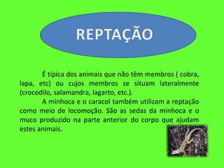 É típica dos animais que não têm membros ( cobra, lapa, etc) ou cujos membros se situam lateralmente (crocodilo, salamandra, lagarto, etc.). A minhoca e o caracol também utilizam a reptação como meio de locomoção. São as sedas da minhoca e o muco produzido na parte anterior do corpo que ajudam estes animais.  