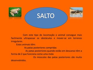 Com este tipo de locomoção o animal consegue mais facilmente ultrapassar os obstáculos e mover-se em terrenos irregulares. Estes animais têm: As patas posteriores compridas As patas posteriores quando estão em descanso têm a forma de Z que funciona como uma mola Os músculos das patas posteriores são muito desenvolvidos . 