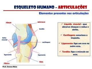 Prof. Simone Maia
 Liquido sinovial - que
absorve choques e reduz o
atrito.
 Cartilagem: amortece o
impacto.
 Ligamento: liga um osso no
outro osso.
 Tendão: liga o músculo ao
osso.
MÚSCULO
tendão
ligamento
ligamento
bolsa
sinovial
Elementos presentes nas articulações
cartilagem
FÍBULA
TÍBIA
FÊMUR
esqueleto humano – articulações
 