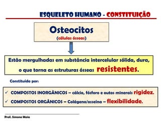 Prof. Simone Maia
Estão mergulhadas em substância intercelular sólida, dura,
o que torna as estruturas ósseas resistentes.
Osteocitos
(células ósseas)
 COMPOSTOS INORGÂNICOS – cálcio, fósforo e outos minerais rigidez.
 COMPOSTOS ORGÂNICOS – Colágeno/osseína – flexibilidade.
esqueleto humano - constituição
Constituída por:
 