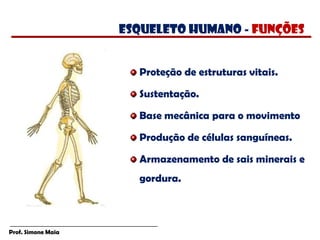 Prof. Simone Maia
Proteção de estruturas vitais.
Sustentação.
Base mecânica para o movimento
Produção de células sanguíneas.
Armazenamento de sais minerais e
gordura.
esqueleto humano - funções
 