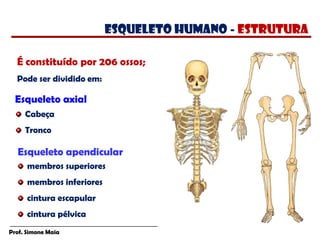 Prof. Simone Maia
É constituído por 206 ossos;
Pode ser dividido em:
Esqueleto axial
Cabeça
Tronco
membros superiores
membros inferiores
cintura escapular
cintura pélvica
Esqueleto apendicular
esqueleto humano - estrutura
 