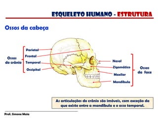 Prof. Simone Maia
Ossos da cabeça
Parietal
Frontal
Occipital
Temporal Nasal
Zigomático
Maxilar
Mandíbula
Ossos
do crânio
Ossos
da face
As articulações do crânio são imóveis, com exceção da
que existe entre a mandíbula e o osso temporal.
esqueleto humano - estrutura
 