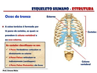 Prof. Simone Maia
Ossos do tronco
A caixa torácica é formada por
12 pares de costelas, as quais se
prendem à coluna vertebral e
ao osso esterno.
Coluna
vertebral
Costelas
Esterno
esqueleto humano - estrutura
As costelas classificam-se em:
 7 Pares Verdadeiras: articulam se
diretamente ao esterno
 3 Pares Falsas: articulam-se
indiretamente (cartilagens)
 2 Pares Falsas Flutuantes: são livres
 