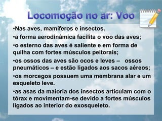 Locomoção no ar: VooNas aves, mamíferos e insectos.a forma aerodinâmica facilita o voo das aves;o esterno das aves é saliente e em forma de quilha com fortes músculos peitorais;os ossos das aves são ocos e leves –   ossos pneumáticos – e estão ligados aos sacos aéreos;os morcegos possuem uma membrana alar e um esqueleto leve.as asas da maioria dos insectos articulam com o tórax e movimentam-se devido a fortes músculos ligados ao interior do exosqueleto.