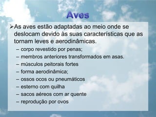 AvesAs aves estão adaptadas ao meio onde se deslocam devido às suas características que as tornam leves e aerodinâmicas.                      corpo revestido por penas;membros anteriores transformados em asas.músculos peitorais fortesforma aerodinâmica;ossos ocos ou pneumáticosesterno com quilhasacos aéreos com ar quentereprodução por ovos