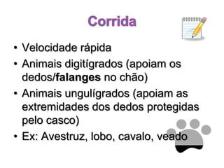 CorridaVelocidade rápidaAnimais digitígrados (apoiam os dedos/falanges no chão)Animais ungulígrados (apoiam as extremidades dos dedos protegidas pelo casco)Ex: Avestruz, lobo, cavalo, veado