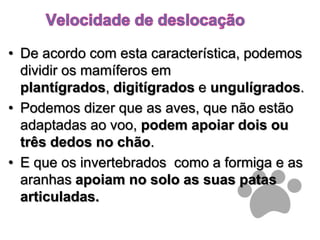 Velocidade de deslocaçãoDe acordo com esta característica, podemos dividir os mamíferos em plantígrados, digitígrados e ungulígrados.Podemos dizer que as aves, que não estão adaptadas ao voo, podem apoiar dois ou três dedos no chão.E que os invertebrados  como a formiga e as aranhas apoiam no solo as suas patas articuladas.