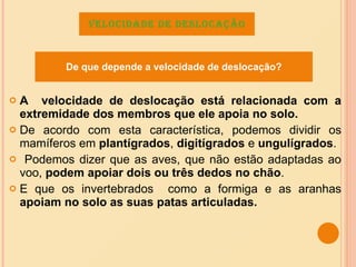 A  velocidade de deslocação está relacionada com a extremidade dos membros que ele apoia no solo. De acordo com esta característica, podemos dividir os mamíferos em  plantígrados ,  digitígrados  e  ungulígrados . Podemos dizer que as aves, que não estão adaptadas ao voo,  podem apoiar dois ou três dedos no chão . E que os invertebrados  como a formiga e as aranhas  apoiam no solo as suas patas articuladas. Velocidade de deslocação De que depende a velocidade de deslocação? 