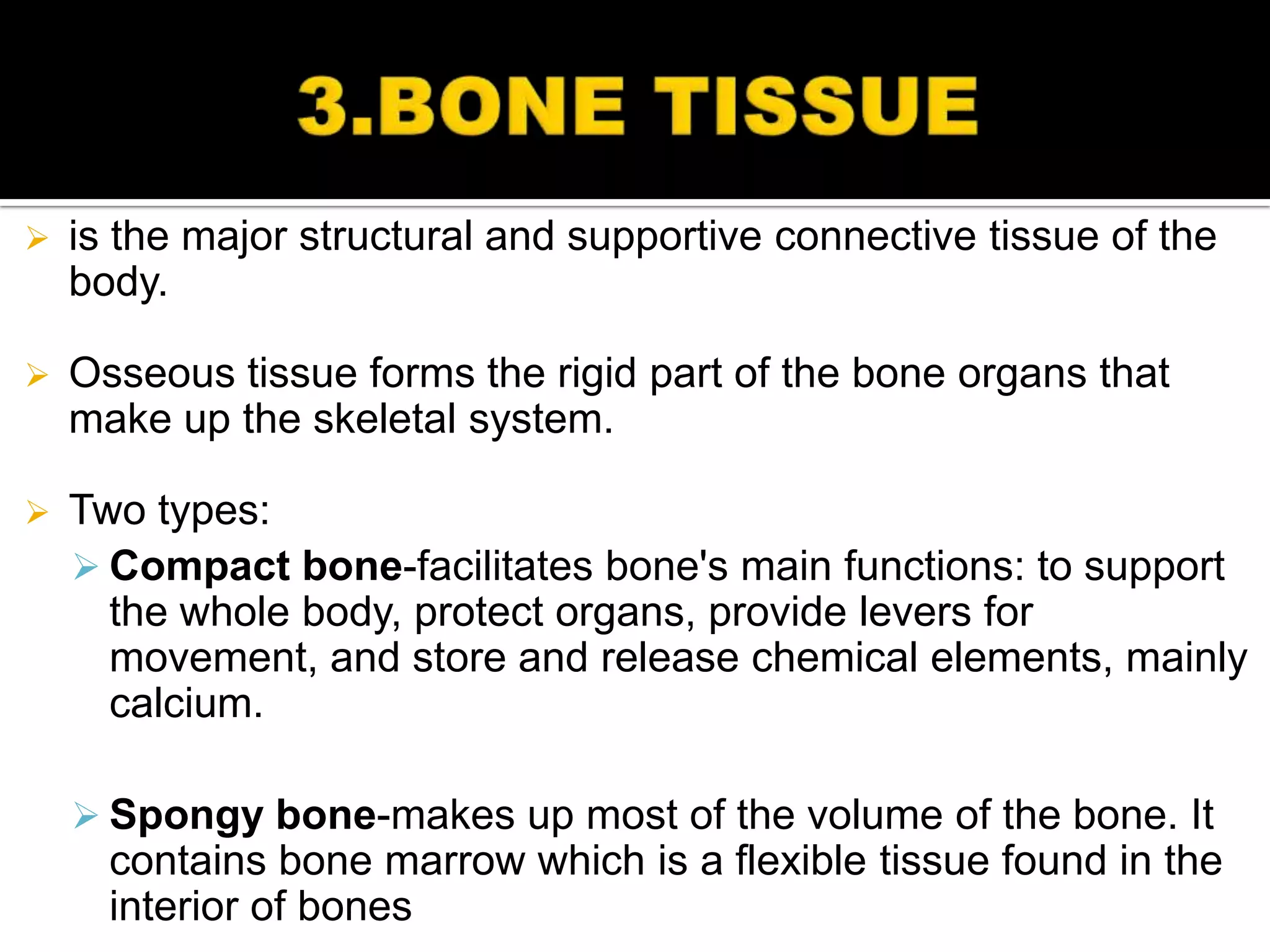    is the major structural and supportive connective tissue of the
    body.

   Osseous tissue forms the rigid part of the bone organs that
    make up the skeletal system.

   Two types:
     Compact bone-facilitates bone's main functions: to support
      the whole body, protect organs, provide levers for
      movement, and store and release chemical elements, mainly
      calcium.

     Spongy bone-makes up most of the volume of the bone. It
      contains bone marrow which is a flexible tissue found in the
      interior of bones
 