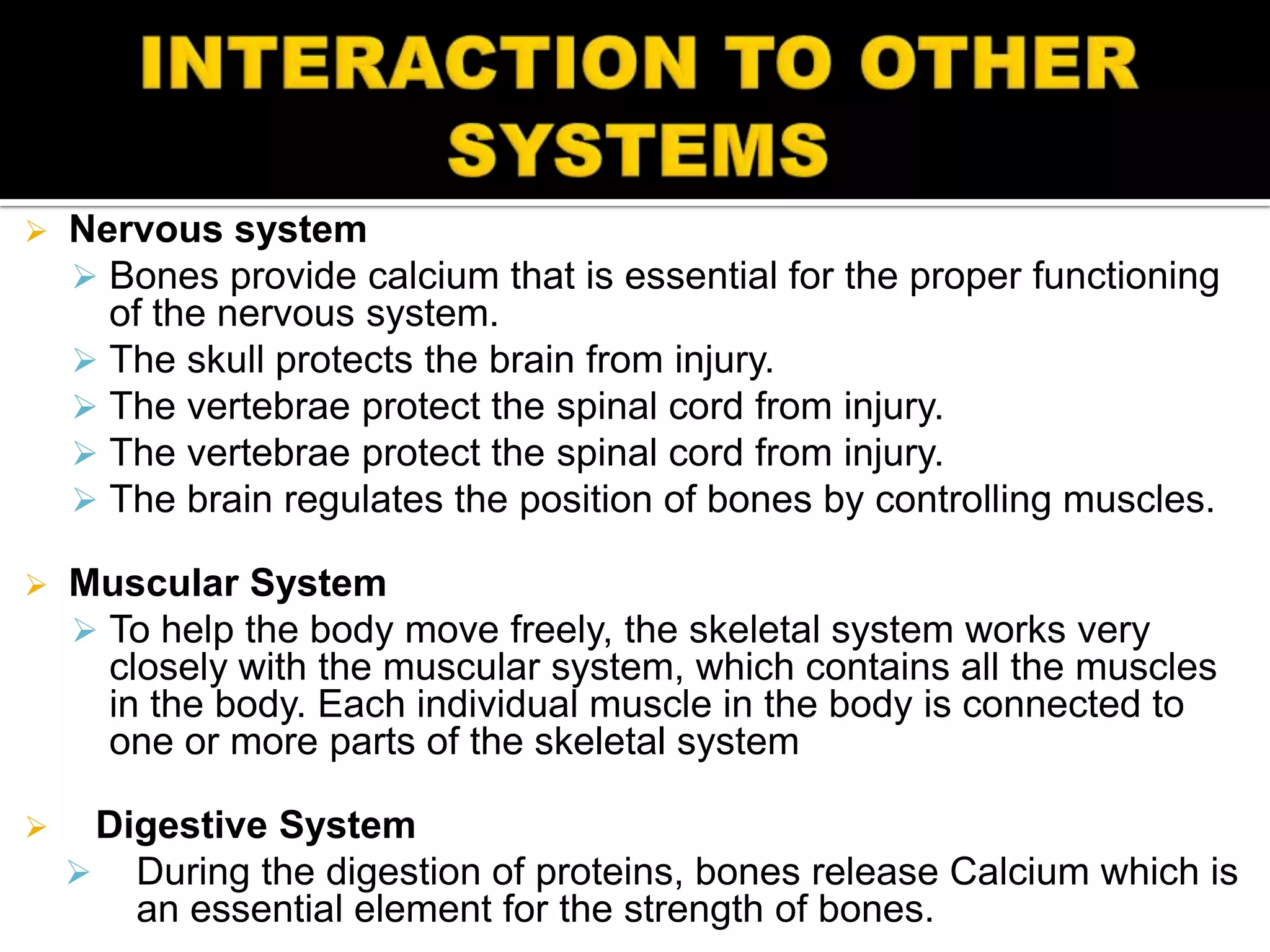    Nervous system
     Bones provide calcium that is essential for the proper functioning
      of the nervous system.
     The skull protects the brain from injury.
     The vertebrae protect the spinal cord from injury.
     The vertebrae protect the spinal cord from injury.
     The brain regulates the position of bones by controlling muscles.

   Muscular System
     To help the body move freely, the skeletal system works very
      closely with the muscular system, which contains all the muscles
      in the body. Each individual muscle in the body is connected to
      one or more parts of the skeletal system

    Digestive System
     During the digestion of proteins, bones release Calcium which is
       an essential element for the strength of bones.
 
