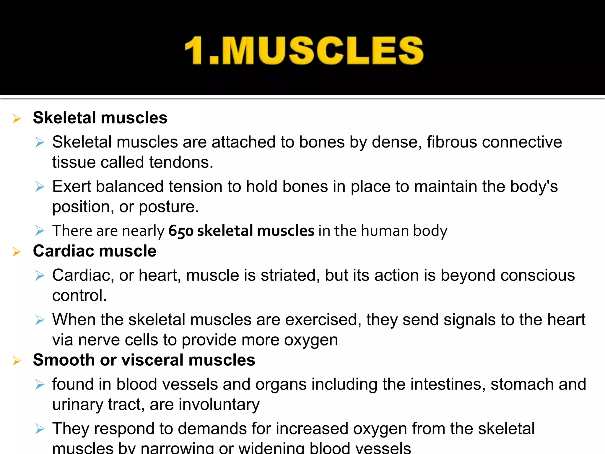    Skeletal muscles
     Skeletal muscles are attached to bones by dense, fibrous connective
      tissue called tendons.
     Exert balanced tension to hold bones in place to maintain the body's
      position, or posture.
     There are nearly 650 skeletal muscles in the human body
   Cardiac muscle
     Cardiac, or heart, muscle is striated, but its action is beyond conscious
      control.
     When the skeletal muscles are exercised, they send signals to the heart
      via nerve cells to provide more oxygen
   Smooth or visceral muscles
     found in blood vessels and organs including the intestines, stomach and
      urinary tract, are involuntary
     They respond to demands for increased oxygen from the skeletal
 