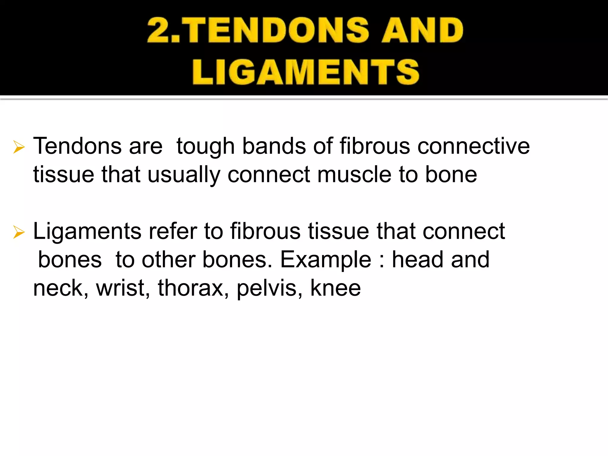    Tendons are tough bands of fibrous connective
    tissue that usually connect muscle to bone

   Ligaments refer to fibrous tissue that connect
    bones to other bones. Example : head and
    neck, wrist, thorax, pelvis, knee
 