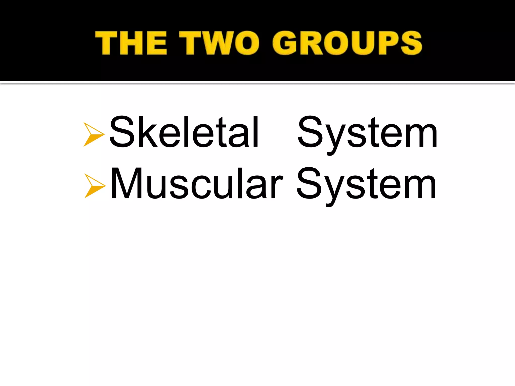 Skeletal   System
Muscular   System
 
