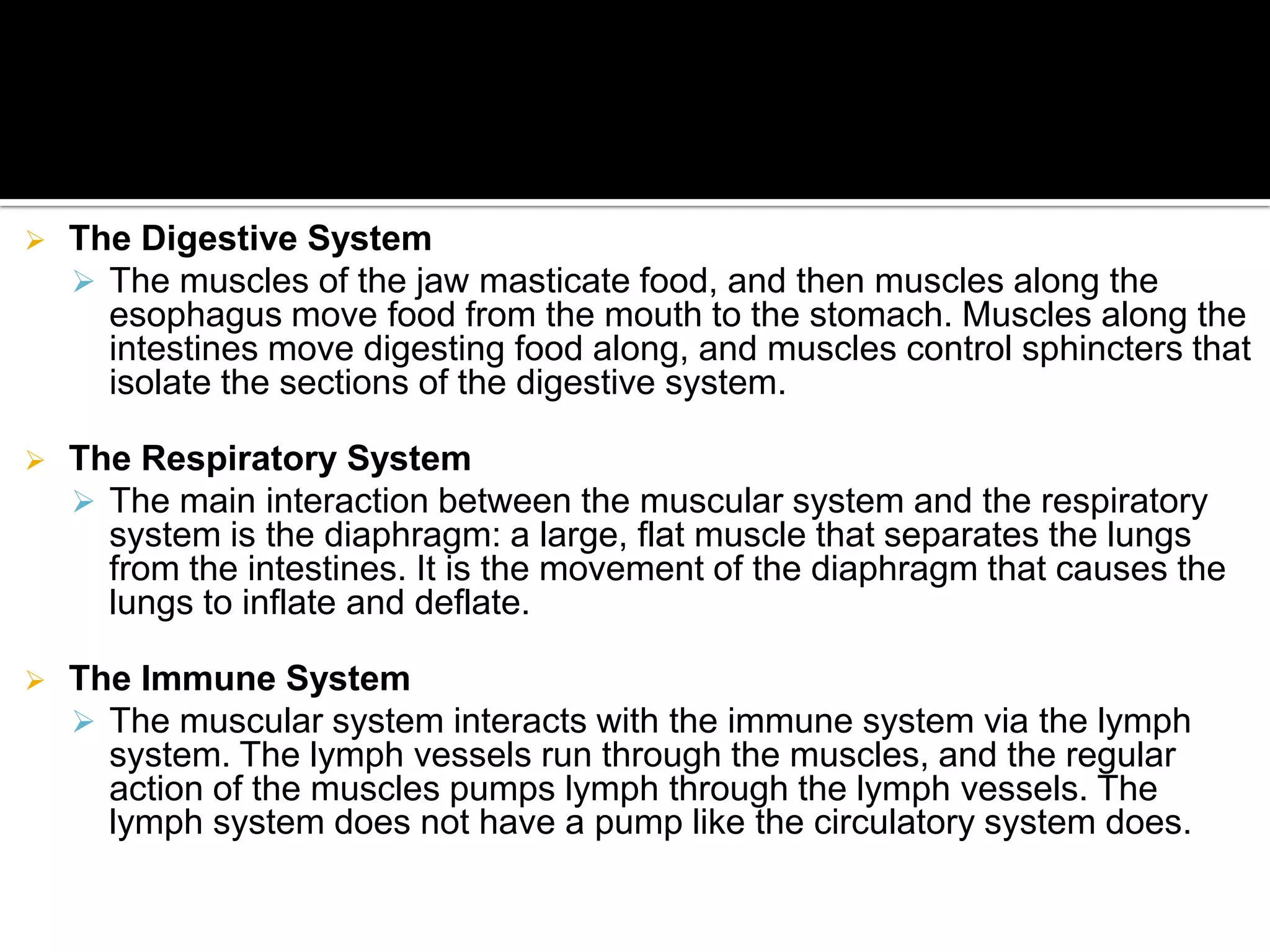    The Digestive System
     The muscles of the jaw masticate food, and then muscles along the
      esophagus move food from the mouth to the stomach. Muscles along the
      intestines move digesting food along, and muscles control sphincters that
      isolate the sections of the digestive system.

   The Respiratory System
     The main interaction between the muscular system and the respiratory
      system is the diaphragm: a large, flat muscle that separates the lungs
      from the intestines. It is the movement of the diaphragm that causes the
      lungs to inflate and deflate.

   The Immune System
     The muscular system interacts with the immune system via the lymph
      system. The lymph vessels run through the muscles, and the regular
      action of the muscles pumps lymph through the lymph vessels. The
      lymph system does not have a pump like the circulatory system does.
 