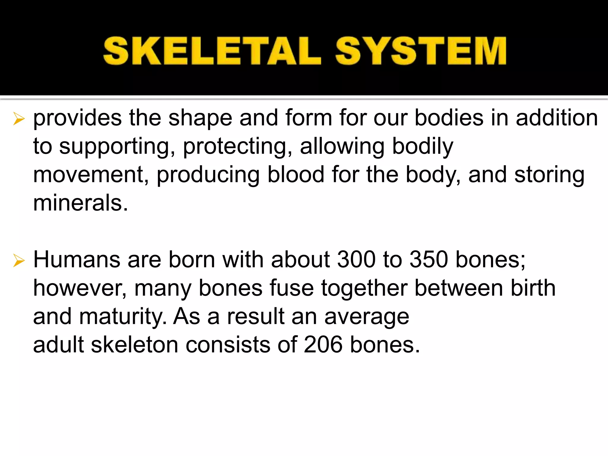    provides the shape and form for our bodies in addition
    to supporting, protecting, allowing bodily
    movement, producing blood for the body, and storing
    minerals.

   Humans are born with about 300 to 350 bones;
    however, many bones fuse together between birth
    and maturity. As a result an average
    adult skeleton consists of 206 bones.
 