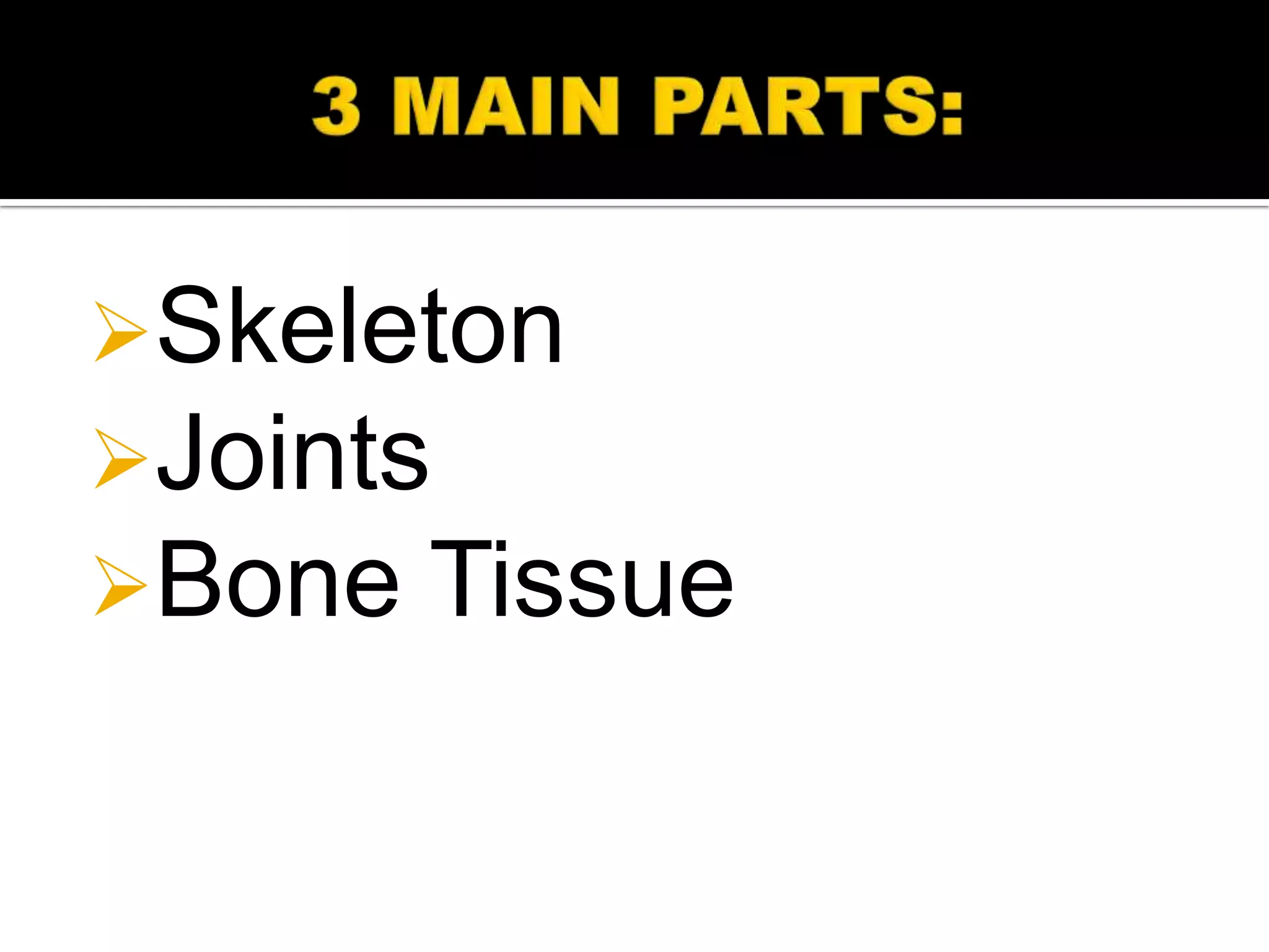 Skeleton
Joints
Bone Tissue
 