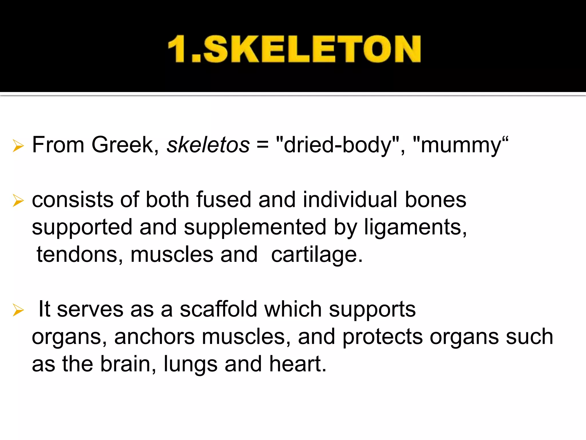    From Greek, skeletos = "dried-body", "mummy“

   consists of both fused and individual bones
    supported and supplemented by ligaments,
    tendons, muscles and cartilage.

   It serves as a scaffold which supports
    organs, anchors muscles, and protects organs such
    as the brain, lungs and heart.
 