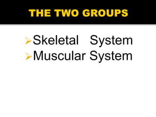 Skeletal   System
Muscular   System
 
