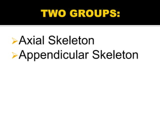 Axial Skeleton
Appendicular Skeleton
 