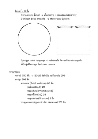 âโ¤คÃร§งÊสÃรé้Òา§ง 3 ªชÑัé้¹น
                    Periosteum ªชÑัé้¹น¹นÍอ¡ก => àเÊสé้¹น»ปÃรÐะÊสÒา·ท + ËหÅลÍอ´ดàเÅล×ืÍอ´ดÅลÓำàเÅลÕีÂย§งÍอÒาËหÒาÃร
                    Compact bone ¡กÃรÐะ´ดÙู¡ก·ทÖึºบ => Haversian System




                   Sponge bone ¡กÃรÐะ´ดÙู¡ก¾พÃรØุ¹น => ¤คÅลé้ÒาÂยÃรÇว§ง¼ผÖึé้§ง ÁมÕี¤คÇวÒาÁมáแ¢ขç็§งáแÃร§งàเÁมè่Òา¡กÃรÐะ´ดÙู¡ก·ทÖึºบ
                   ªชÑัé้¹นãใ¹นÊสØุ´ดÁมÕีäไ¢ข¡กÃรÐะ´ดÙู¡ก Redbone narrow

ÃรÐะºบºบ¡กÃรÐะ´ดÙู¡ก
          ·ทÒาÃร¡กÁมÕี 350 ªชÔิé้¹น => 20-25 »ปÕี¼ผè่Òา¹นäไ»ป ¨จÐะàเªช×ืè่ÍอÁมàเËหÅล×ืÍอ 206
          ¡กÃรÐะ´ดÙู¡ก 206 ªชÔิé้¹น
                      áแ¡ก¹น¡กÅลÒา§ง (Axial skeleton) 80 ªชÔิé้¹น
                                  ¡กÃรÐะâโËหÅล¡ก(Skull) 29
                                  ¡กÃรÐะ´ดÙู¡กÊสÑั¹นËหÅลÑั§ง(Vertebra) 26
                                  ¡กÃรÐะ´ดÙู¡ก«ซÕีè่âโ¤คÃร§ง(rib) 24
                                  ¡กÃรÐะ´ดÙู¡กËห¹นé้ÒาÍอ¡ก(Sternum) 1 ªชÔิé้¹น
                      ¡กÃรÐะ´ดÙู¡กÃรÐะÂยÒา§ง (Appendicular skeleton) 126 ªชÔิé้¹น
 