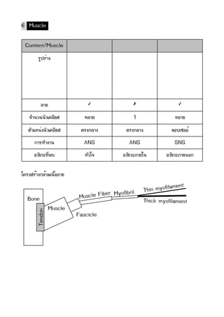 6 Muscle

   Content/Muscle
                 ÃรÙู»ปÃรè่Òา§ง




                    ÅลÒาÂย                            ✓                   ✗                             ✓


        ¨จÓำ¹นÇว¹น¹นÔิÇวàเ¤คÅลÕีÂยÊส              ËหÅลÒาÂย                 1                         ËหÅลÒาÂย
      µตÓำáแËห¹นè่§ง¹นÔิÇวàเ¤คÅลÕีÂยÊส          µตÃร§ง¡กÅลÒา§ง      µตÃร§ง¡กÅลÒา§ง                ¢ขÍอºบàเ«ซÅลÅลì์
             ¡กÒาÃร·ทÓำ§งÒา¹น                     ANS                 ANS                            SNS
             ÍอÇวÑัÂยÇวÐะ·ทÕีè่¾พºบ                ËหÑัÇวãใ¨จ    ÍอÇวÑัÂยÇวÐะÀภÒาÂยãใ¹น       ÍอÇวÑัÂยÇวÐะÀภÒาÂย¹นÍอ¡ก

âโ¤คÃร§งÊสÃรé้Òา§ง¡กÅลé้ÒาÁมàเ¹น×ืé้ÍอÅลÒาÂย
                                                                                                 ament
                                                          er yofibril                Thin myofil
      Bone                                      Muscle Fib M
                                                                                     Thick myofilament
                             Muscle
                Tendon




                                               Fascicle
 