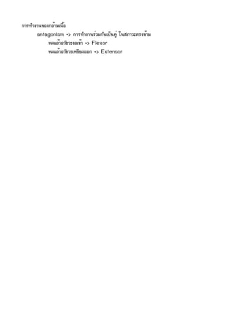 ¡กÒาÃร·ทÓำ§งÒา¹น¢ขÍอ§ง¡กÅลé้ÒาÁมàเ¹น×ืé้Íอ
             antagonism => ¡กÒาÃร·ทÓำ§งÒา¹นÃรè่ÇวÁม¡กÑั¹นàเ»ปç็¹น¤คÙูè่ ãใ¹นÊสÀภÒาÇวÐะµตÃร§ง¢ขé้ÒาÁม
                      Ëห´ดáแÅลé้ÇวÍอÇวÑัÂยÇวÐะ§งÍอàเ¢ขé้Òา => Flexor
                      Ëห´ดáแÅลé้ÇวÍอÇวÑัÂยÇวÐะàเËหÂยÕีÂย´ดÍอÍอ¡ก => Extensor
 