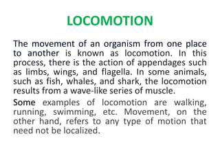 LOCOMOTION
The movement of an organism from one place
to another is known as locomotion. In this
process, there is the action of appendages such
as limbs, wings, and flagella. In some animals,
such as fish, whales, and shark, the locomotion
results from a wave-like series of muscle.
Some examples of locomotion are walking,
running, swimming, etc. Movement, on the
other hand, refers to any type of motion that
need not be localized.
 