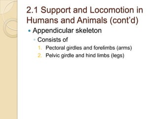 2.1 Support and Locomotion in
Humans and Animals (cont’d)
   Appendicular skeleton
    ◦ Consists of
     1. Pectoral girdles and forelimbs (arms)
     2. Pelvic girdle and hind limbs (legs)
 