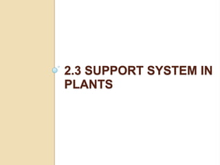 2.3 SUPPORT SYSTEM IN
PLANTS
 