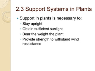 2.3 Support Systems in Plants
   Support in plants is necessary to:
    ◦   Stay upright
    ◦   Obtain sufficient sunlight
    ◦   Bear the weight the plant
    ◦   Provide strength to withstand wind
        ressistance
 
