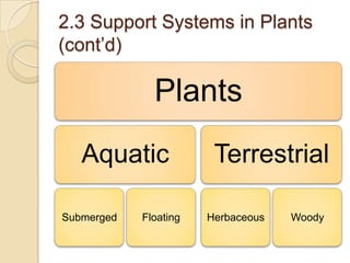 2.3 Support Systems in Plants
(cont’d)

              Plants
   Aquatic              Terrestrial

Submerged   Floating   Herbaceous   Woody
 